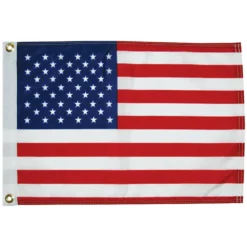Taylor US Printed Flag